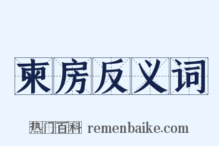 柬房反义词是什么意思的图片